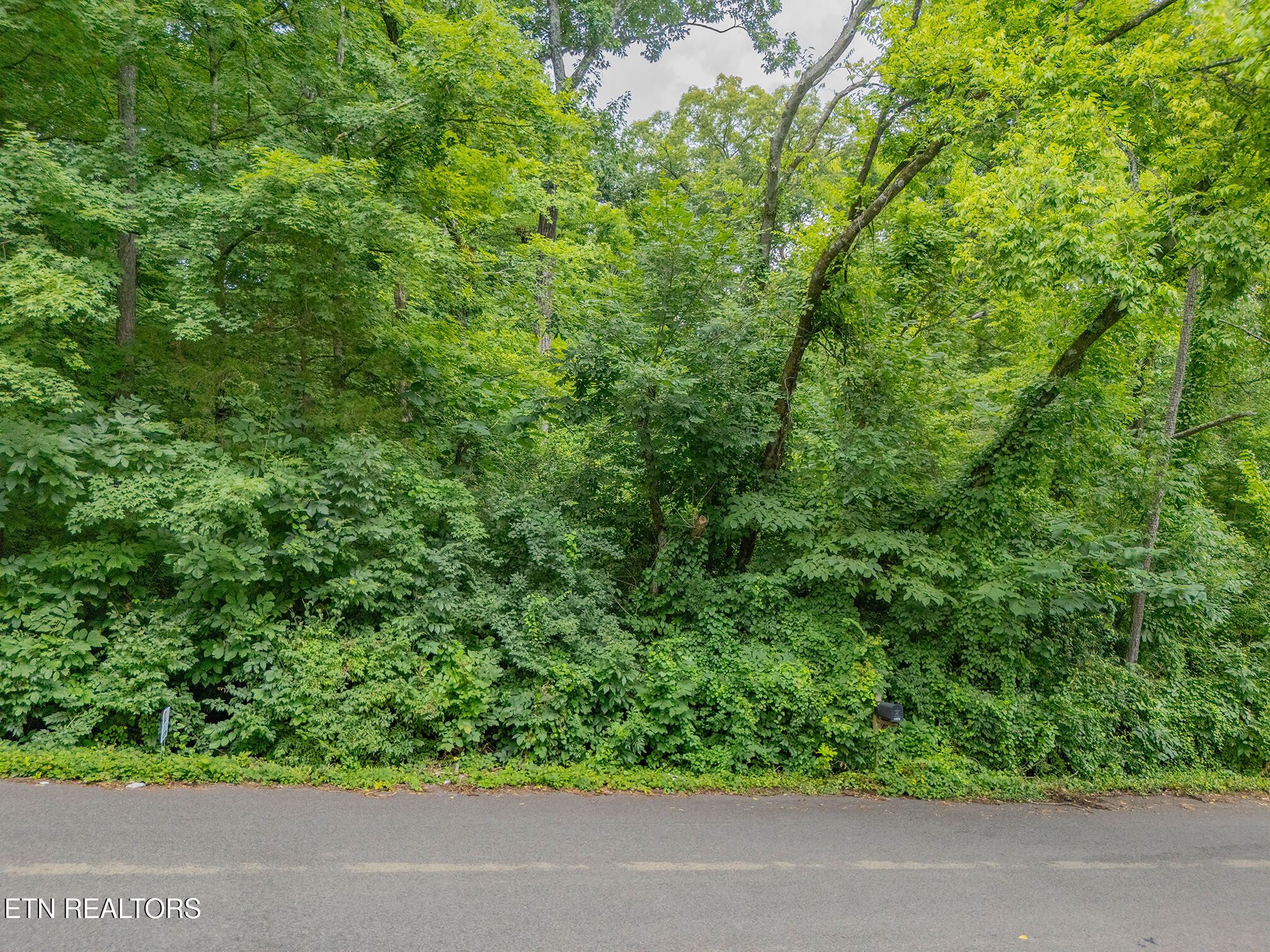 4907 Parva Drive Knoxville TN 37914