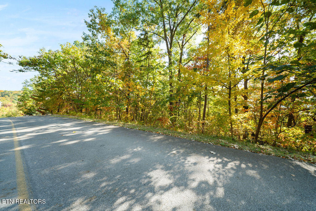 Settlers View Lane Sevierville TN 37862