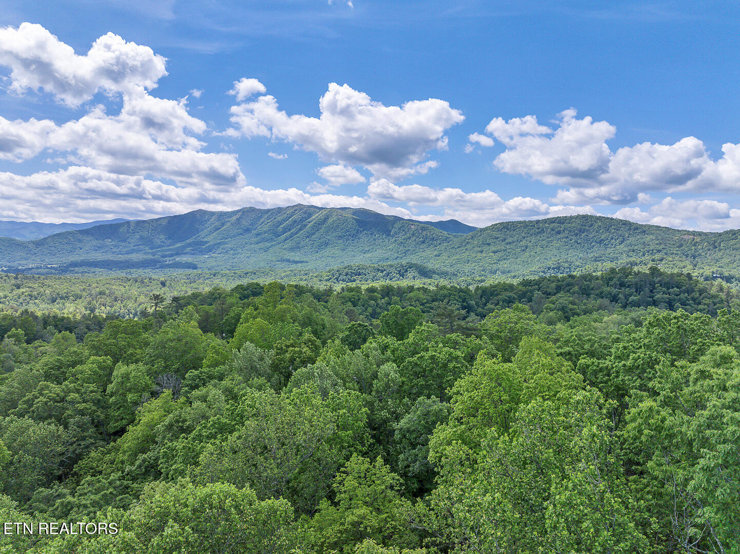 Ace Gap Road Townsend TN 37882