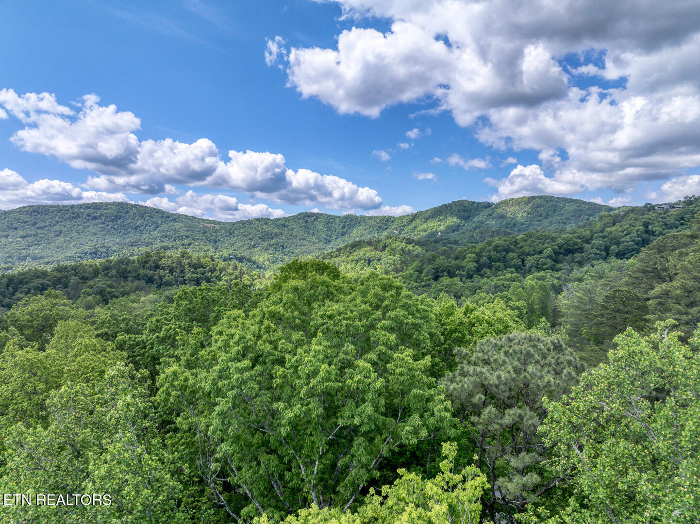 Ace Gap Road Townsend TN 37882