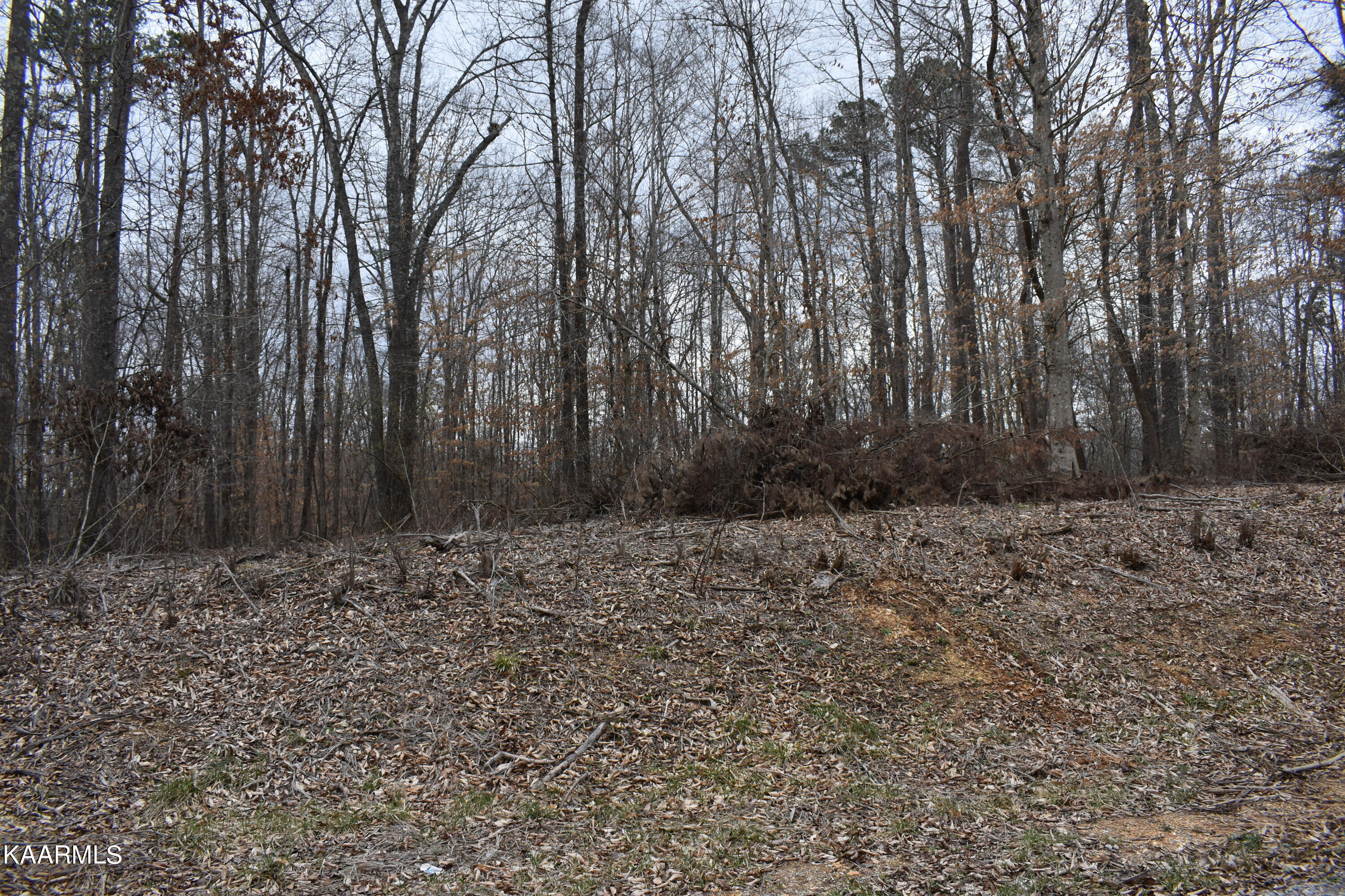 Lot 10 Jones Ridge Road Speedwell TN 37870