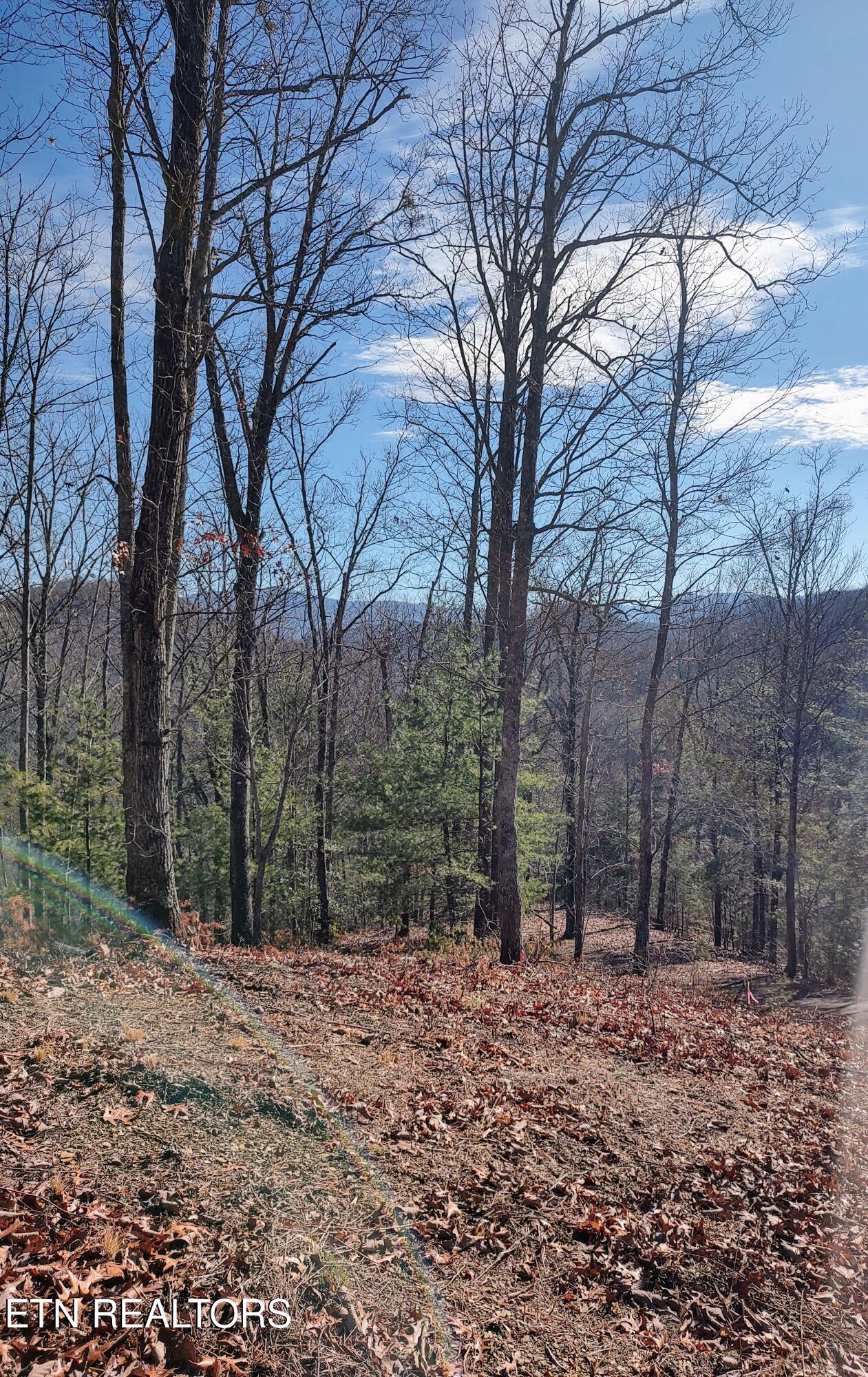 3372 Flintlock Lane Sevierville TN 37862