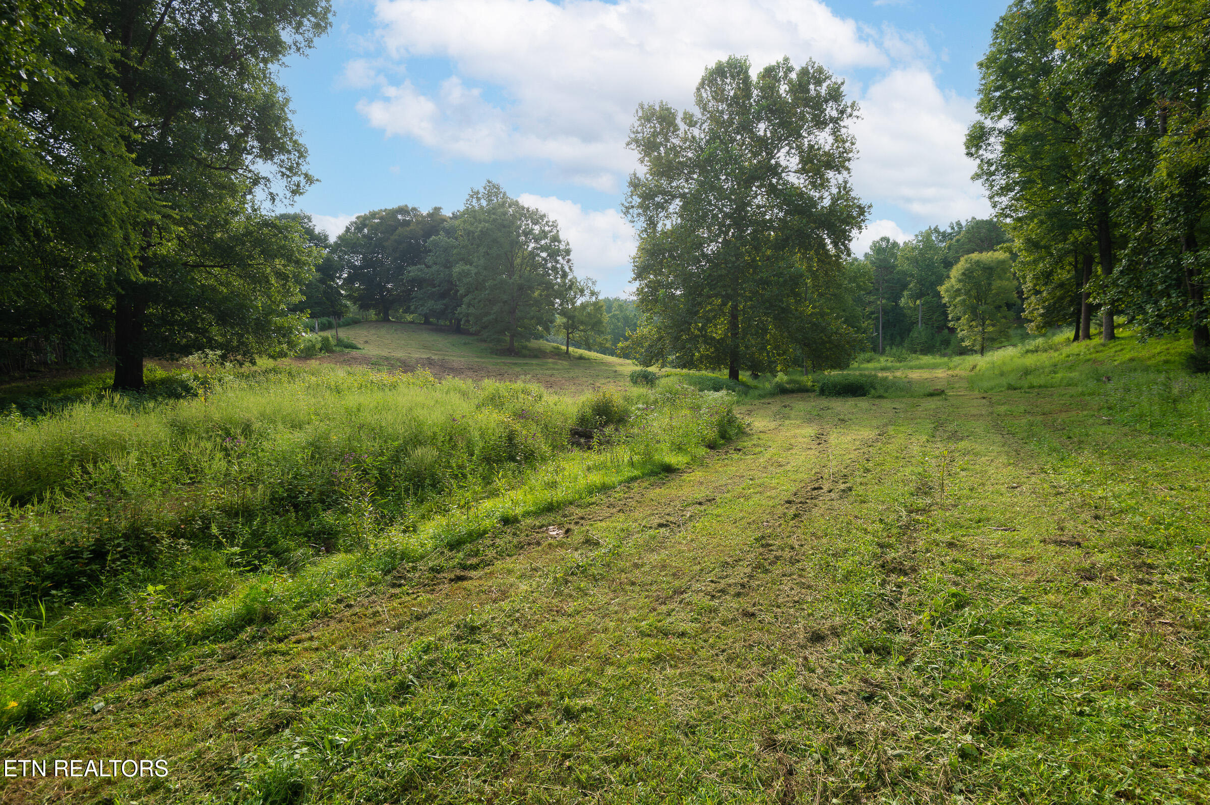 0 Billy Neal Knoxville TN 37924