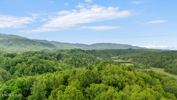 S Rogers Road Seymour TN 37865