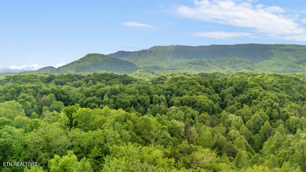 S Rogers Road Seymour TN 37865