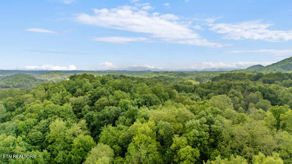 S Rogers Road Seymour TN 37865