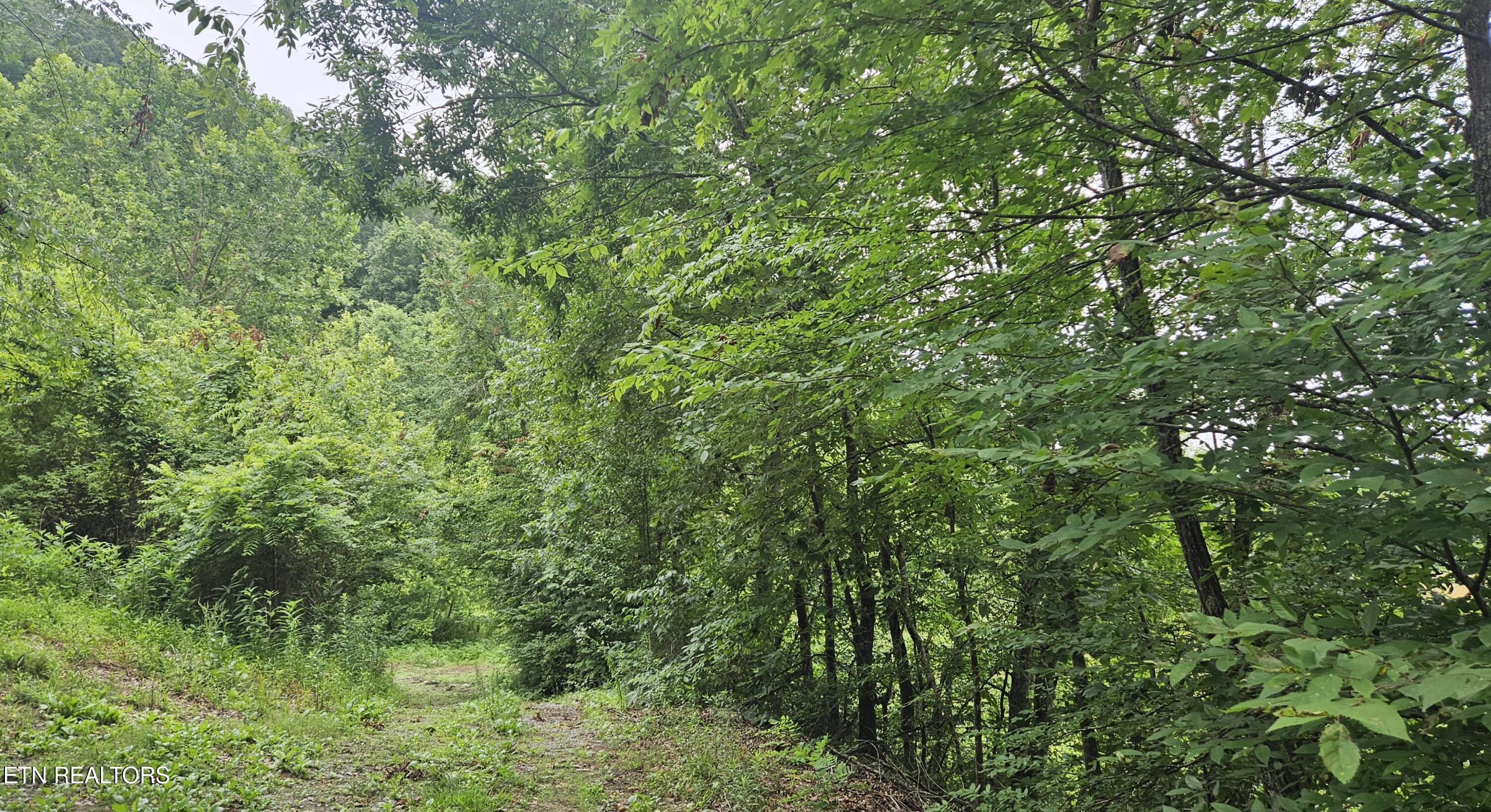 S Rogers Road Seymour TN 37865