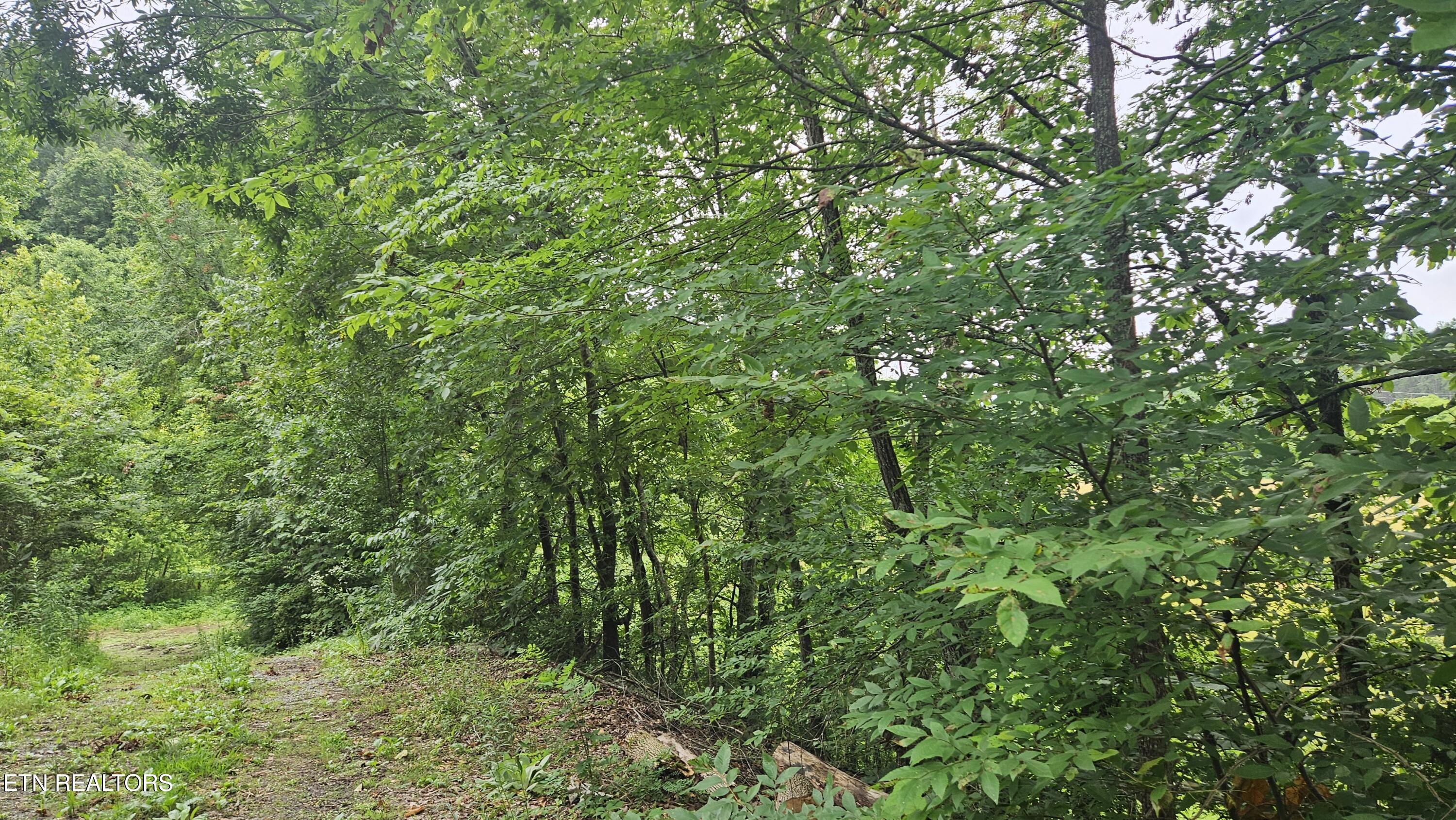 S Rogers Road Seymour TN 37865
