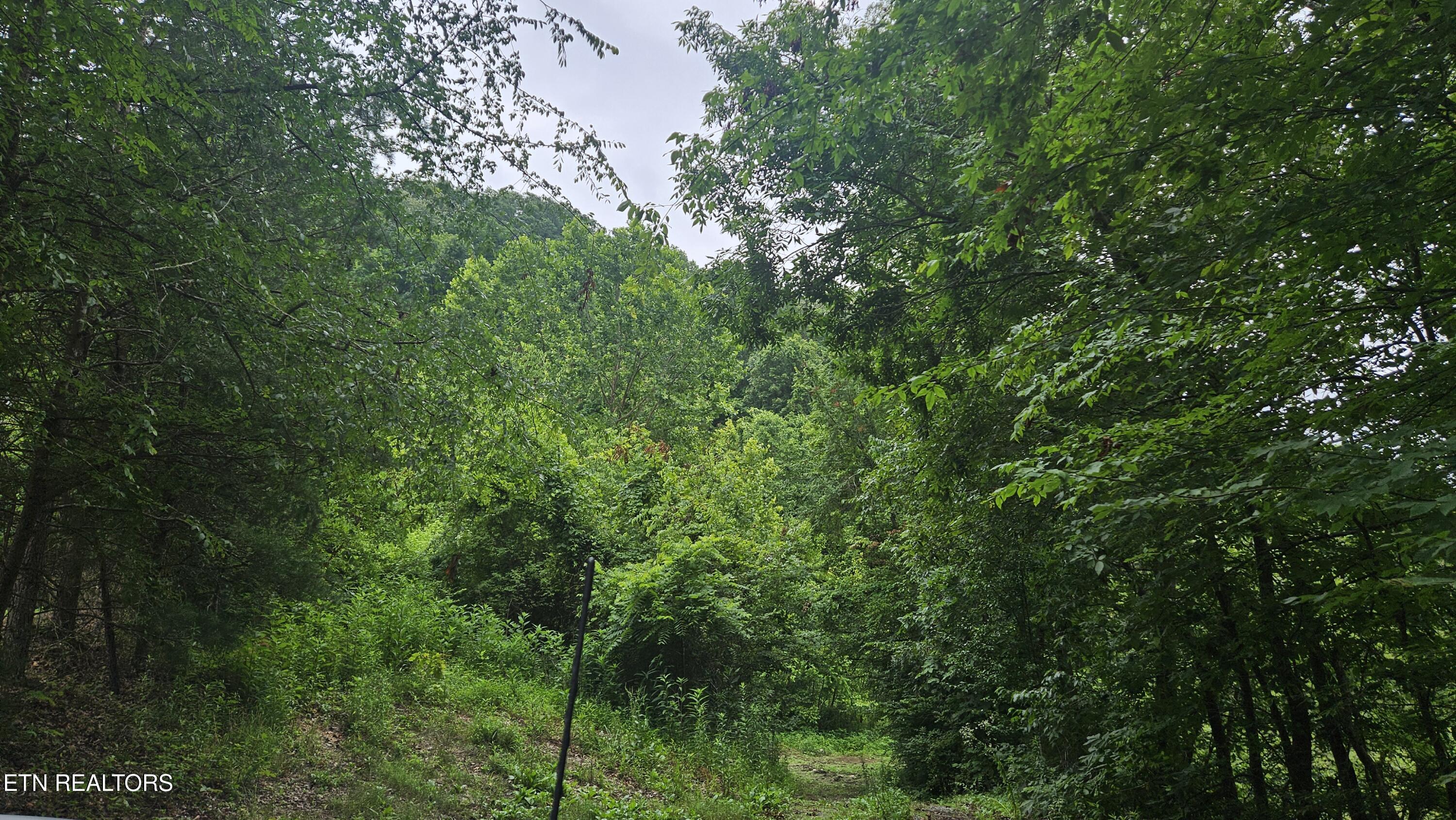 S Rogers Road Seymour TN 37865