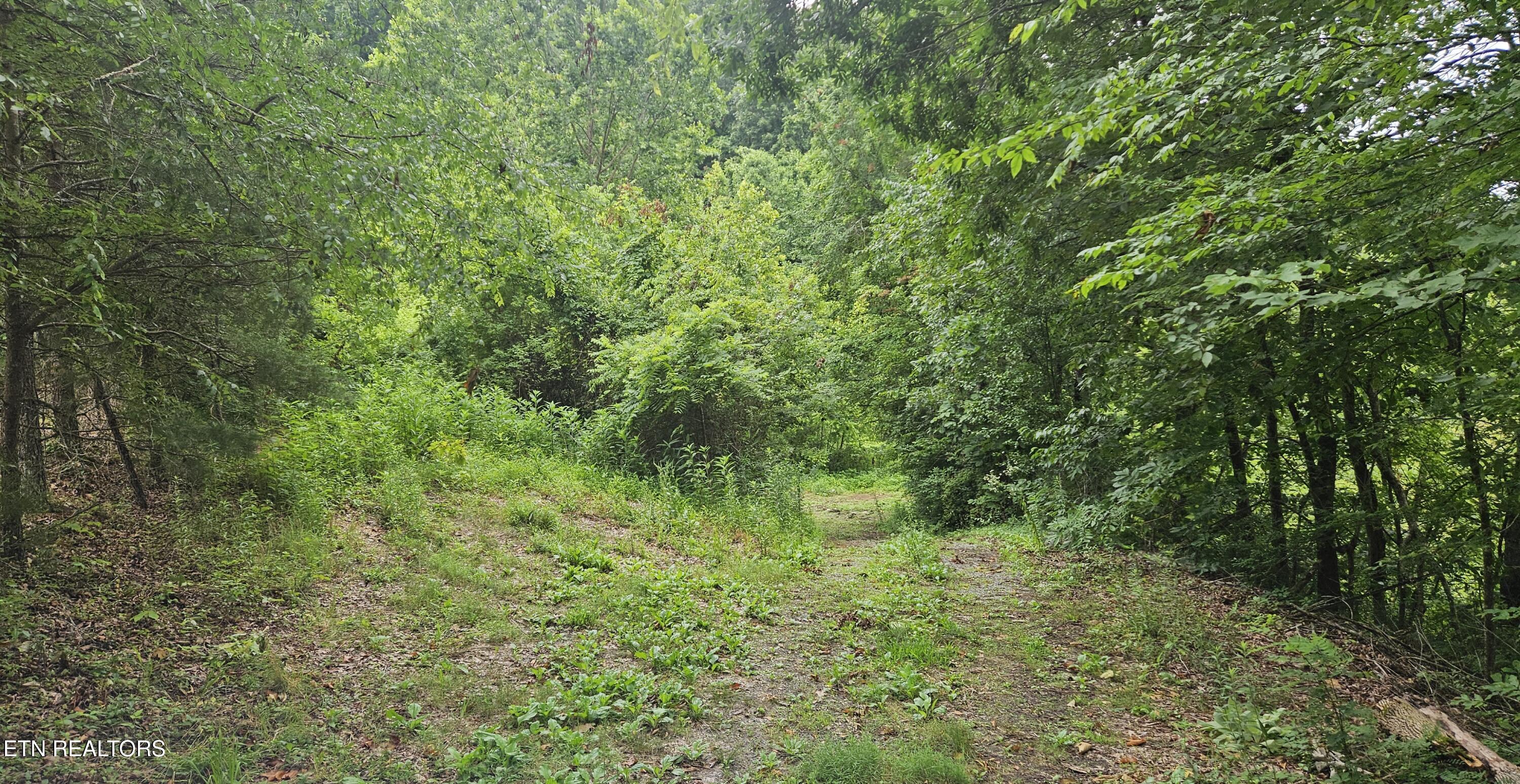S Rogers Road Seymour TN 37865