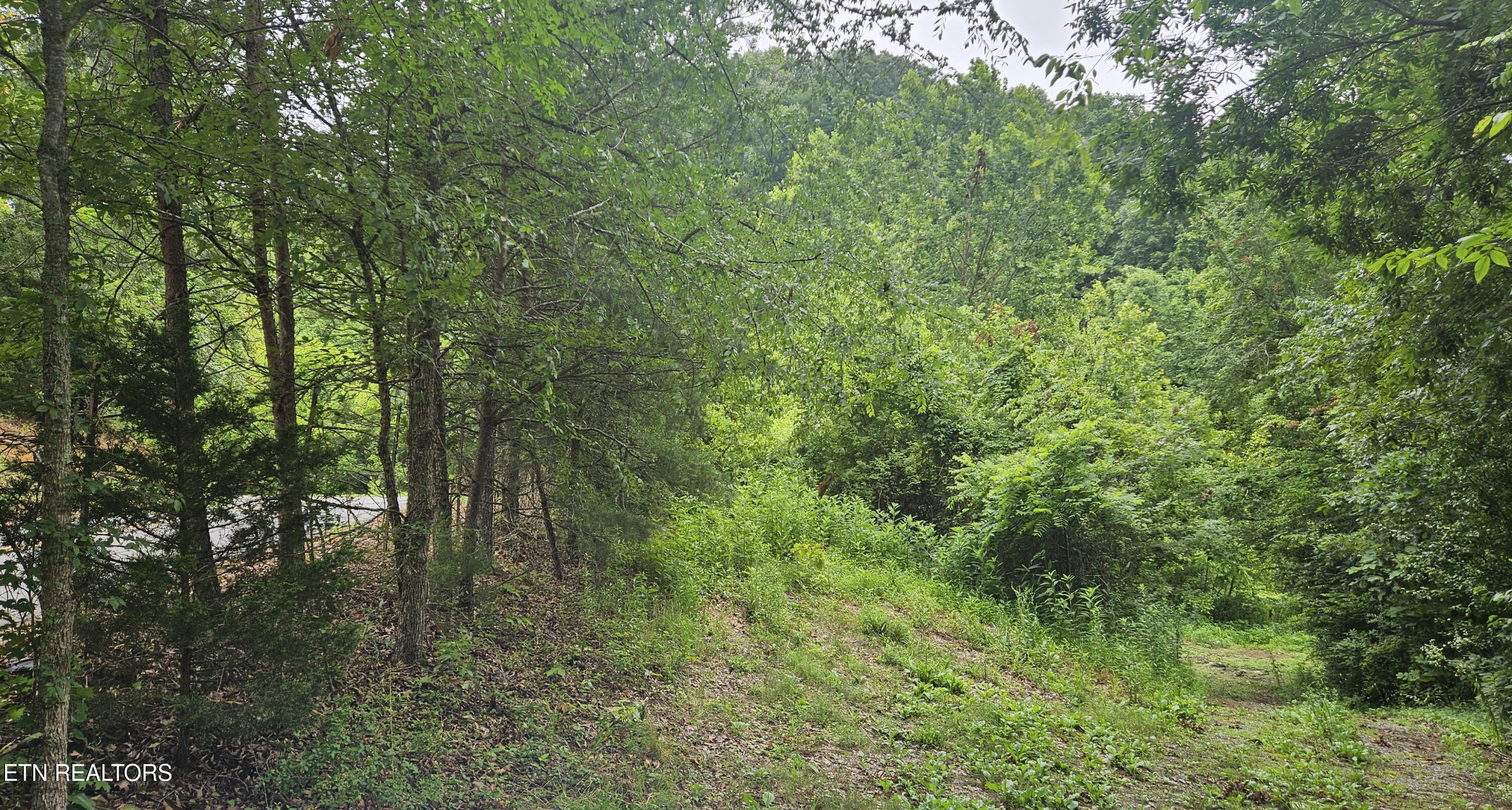 S Rogers Road Seymour TN 37865