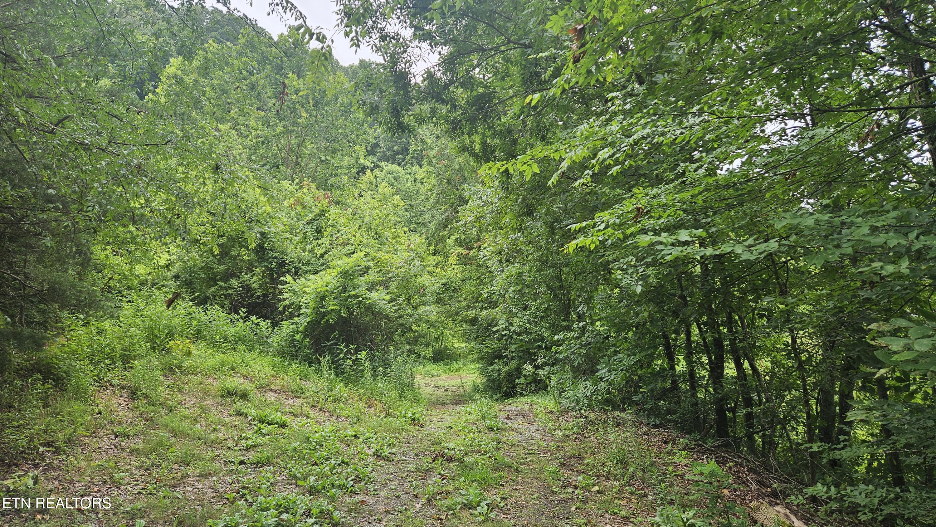 S Rogers Road Seymour TN 37865