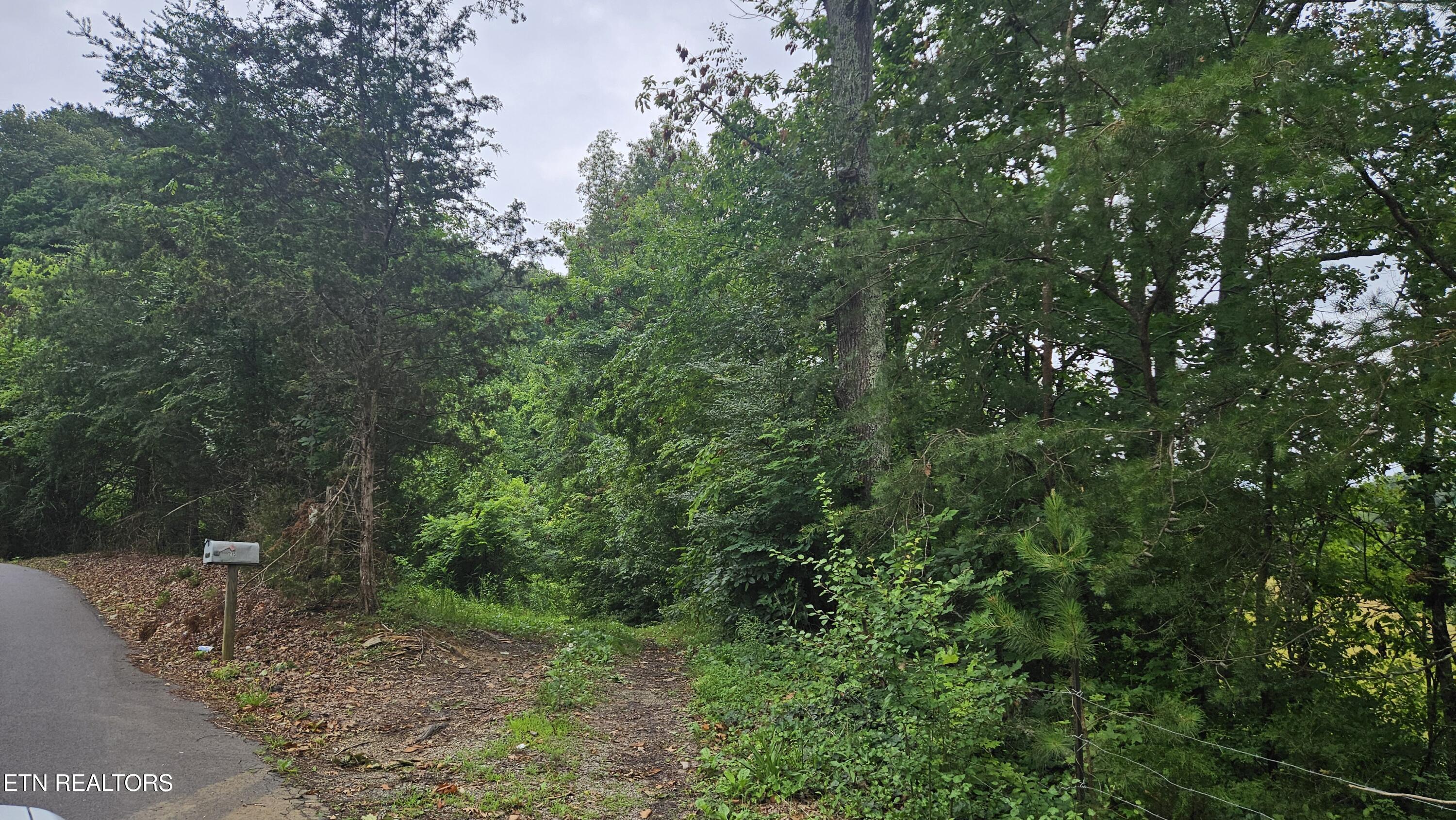 S Rogers Road Seymour TN 37865