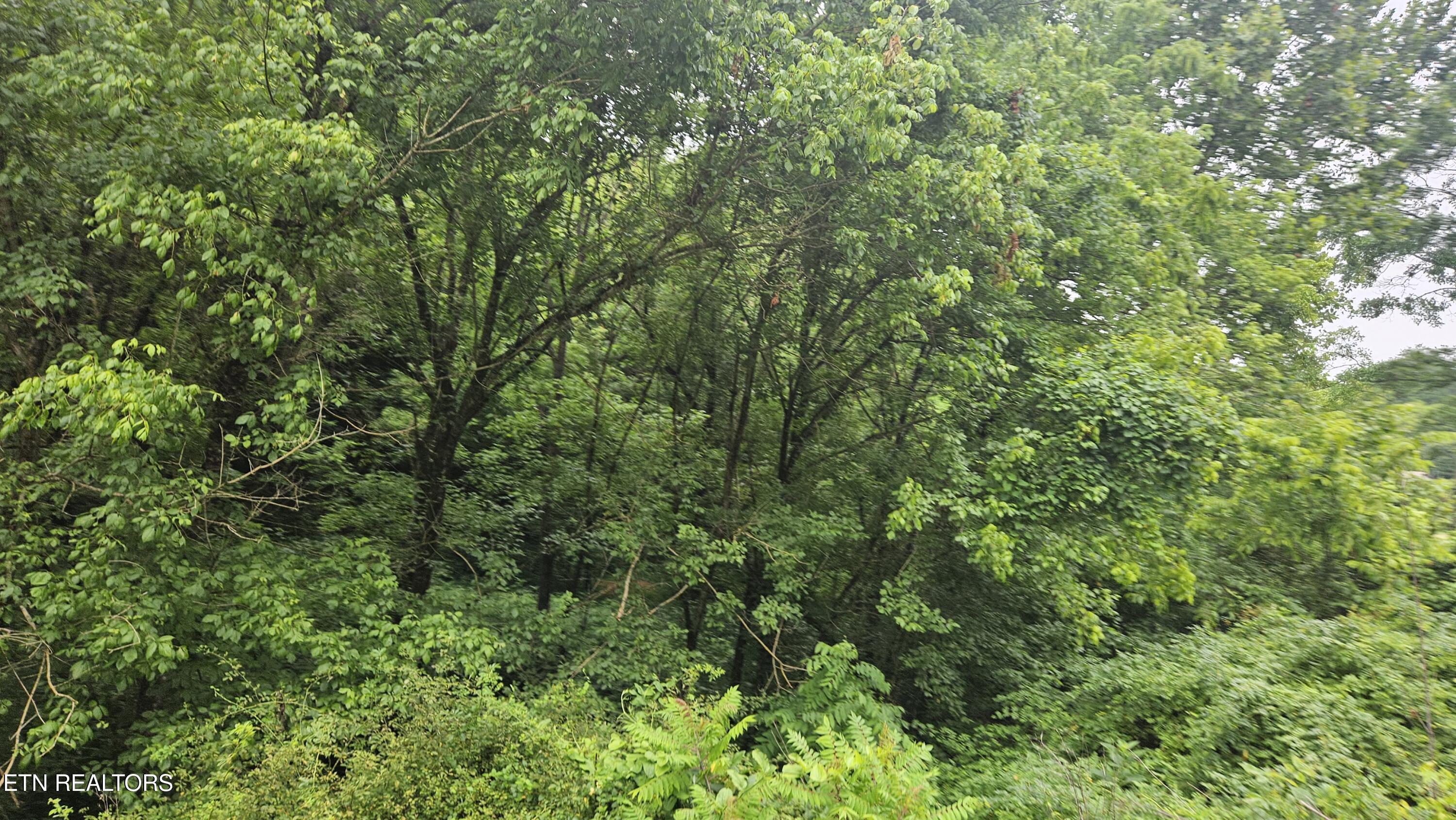 S Rogers Road Seymour TN 37865