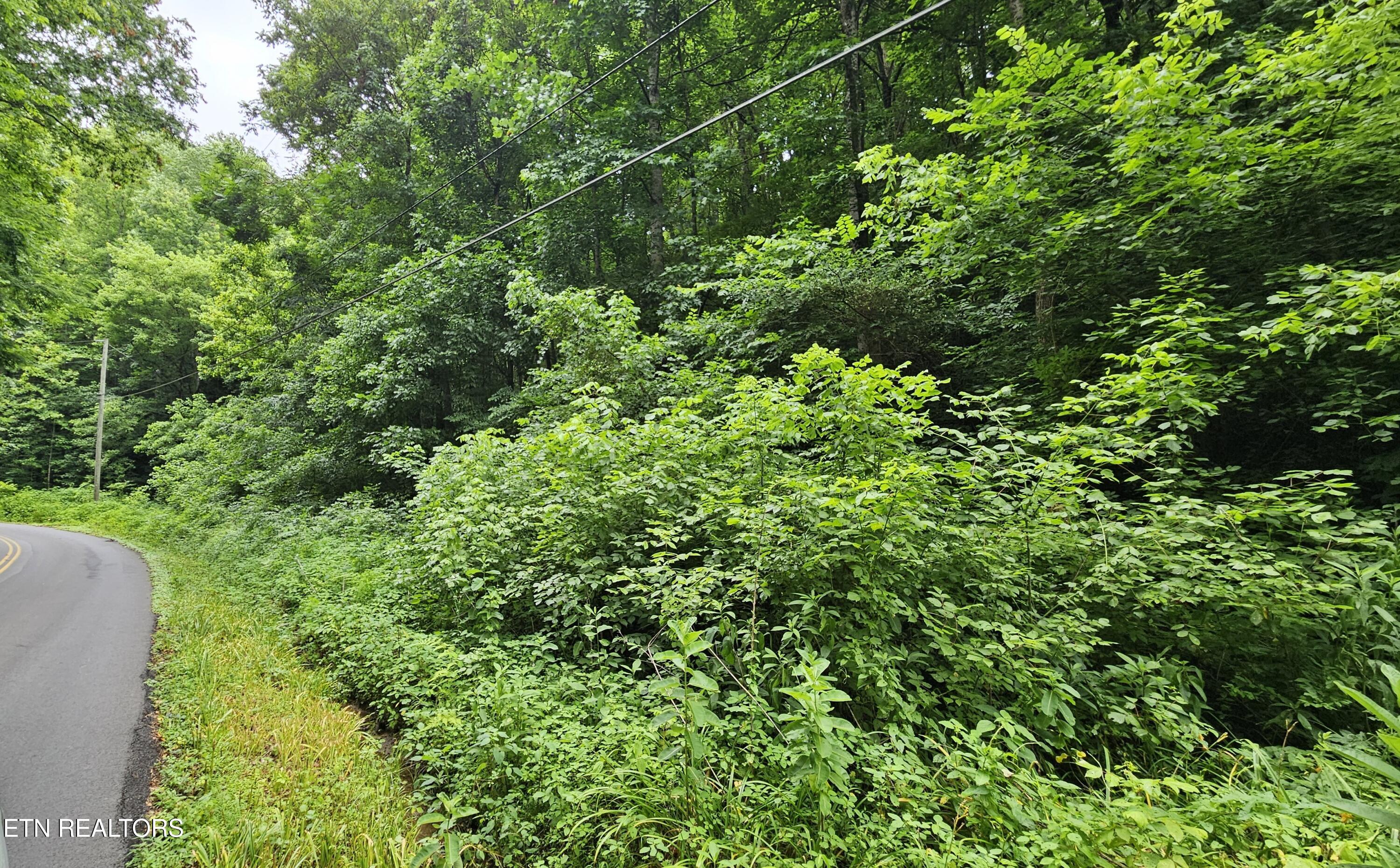 S Rogers Road Seymour TN 37865