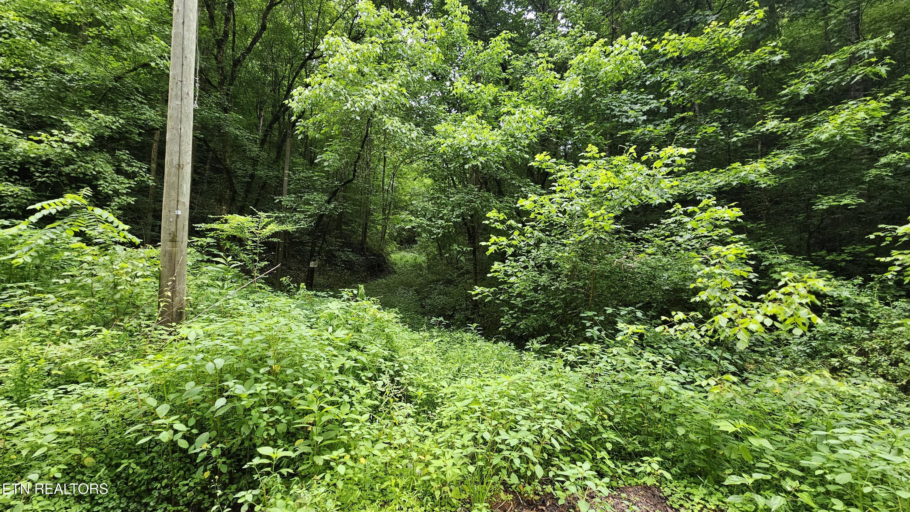 S Rogers Road Seymour TN 37865