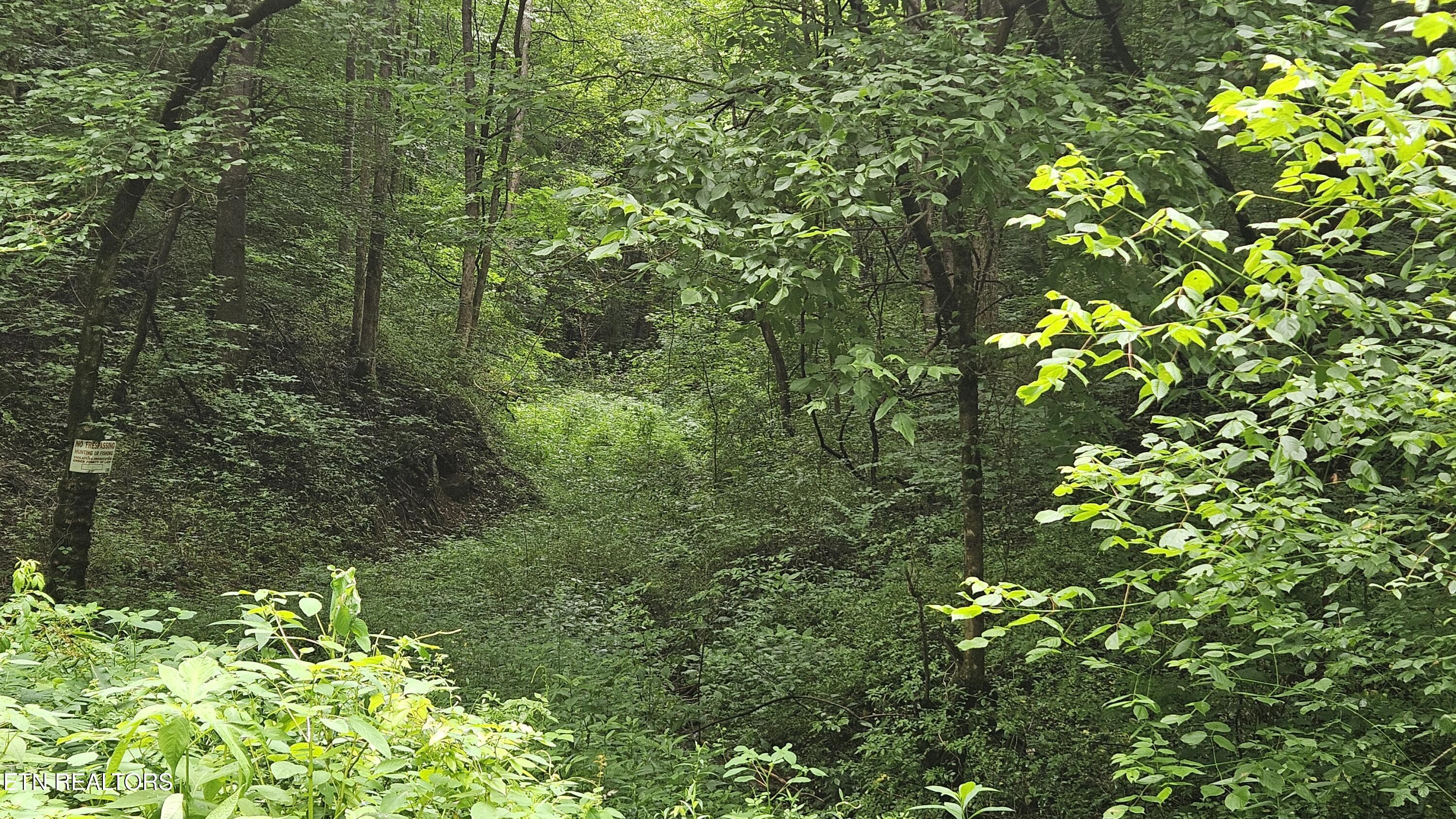 S Rogers Road Seymour TN 37865