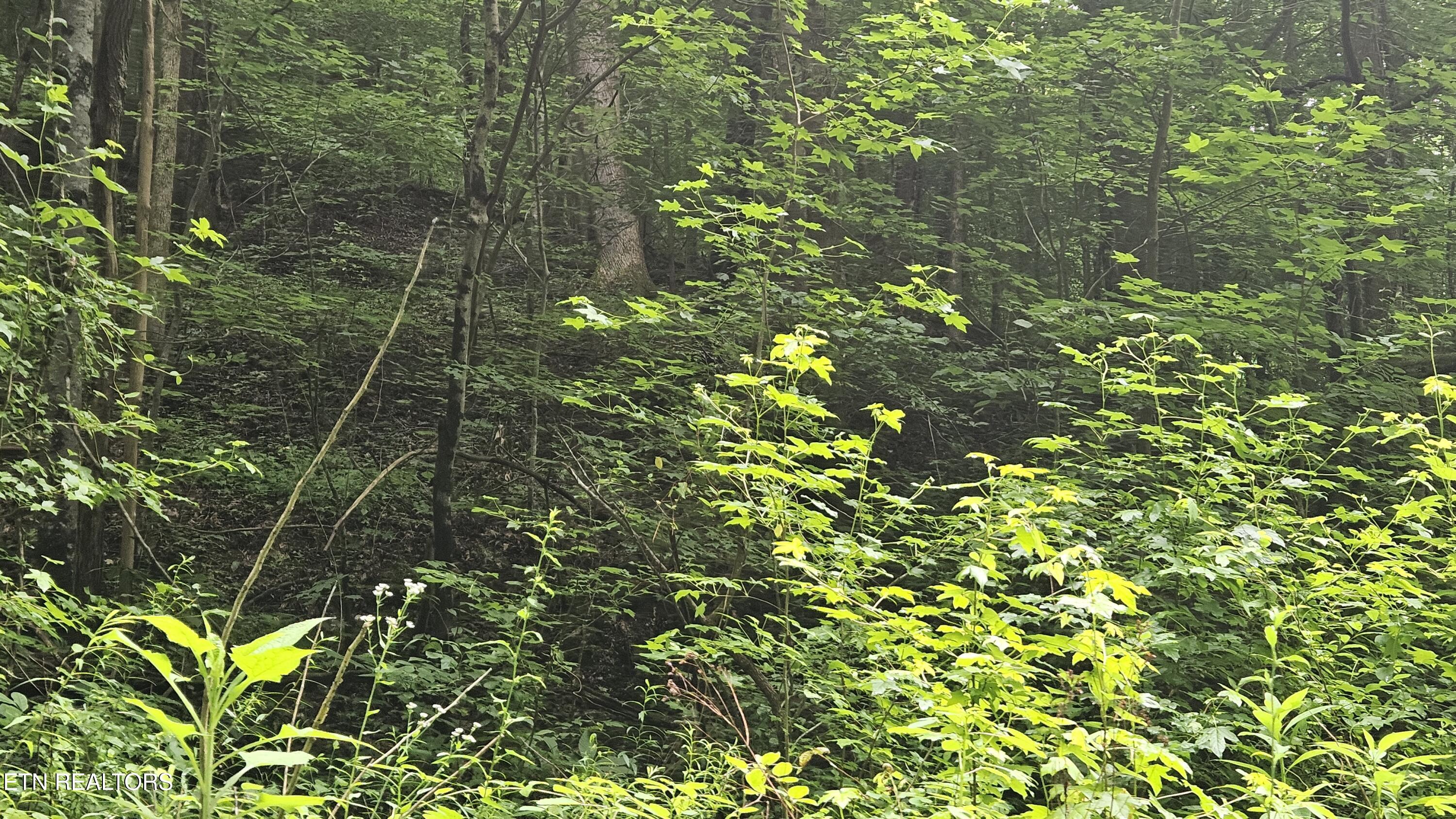 S Rogers Road Seymour TN 37865