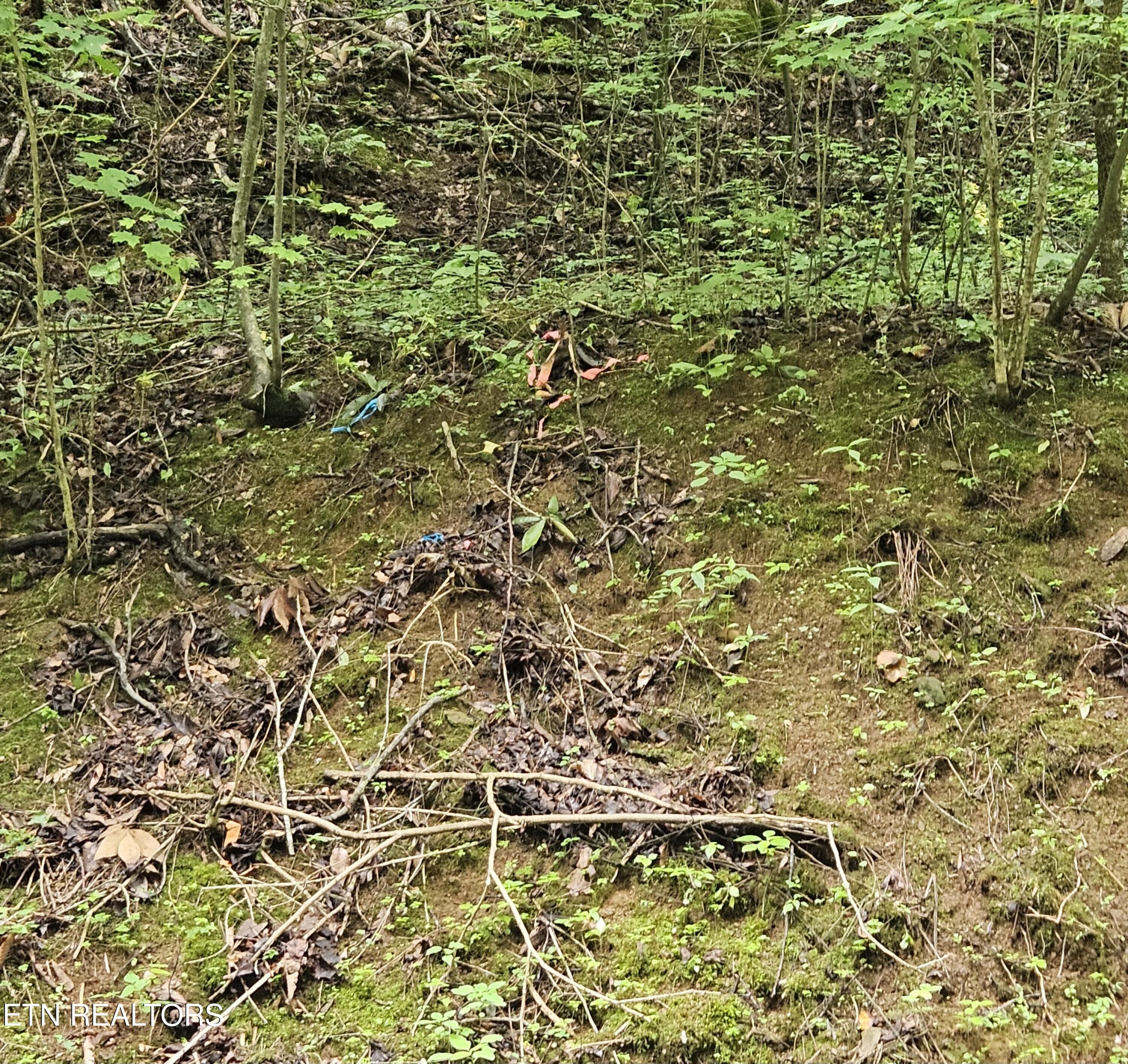 S Rogers Road Seymour TN 37865