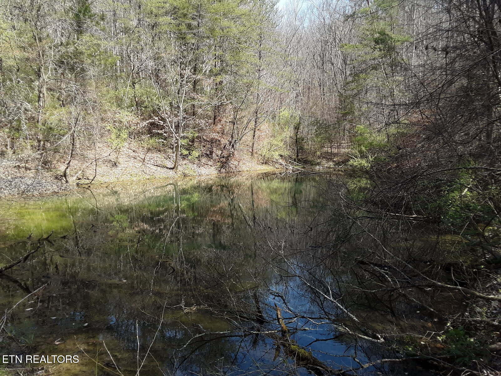 S Rogers Road Seymour TN 37865