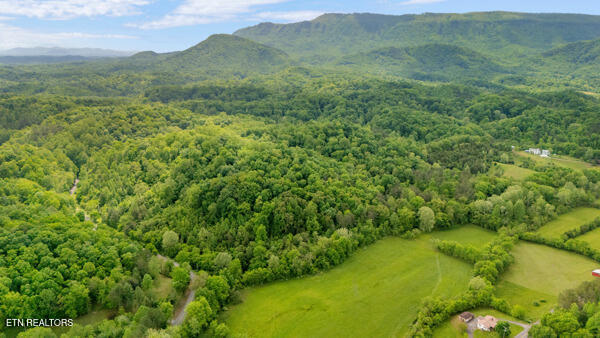 S Rogers Road Seymour TN 37865