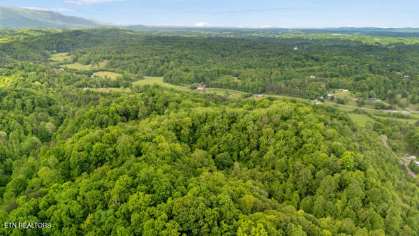 S Rogers Road Seymour TN 37865