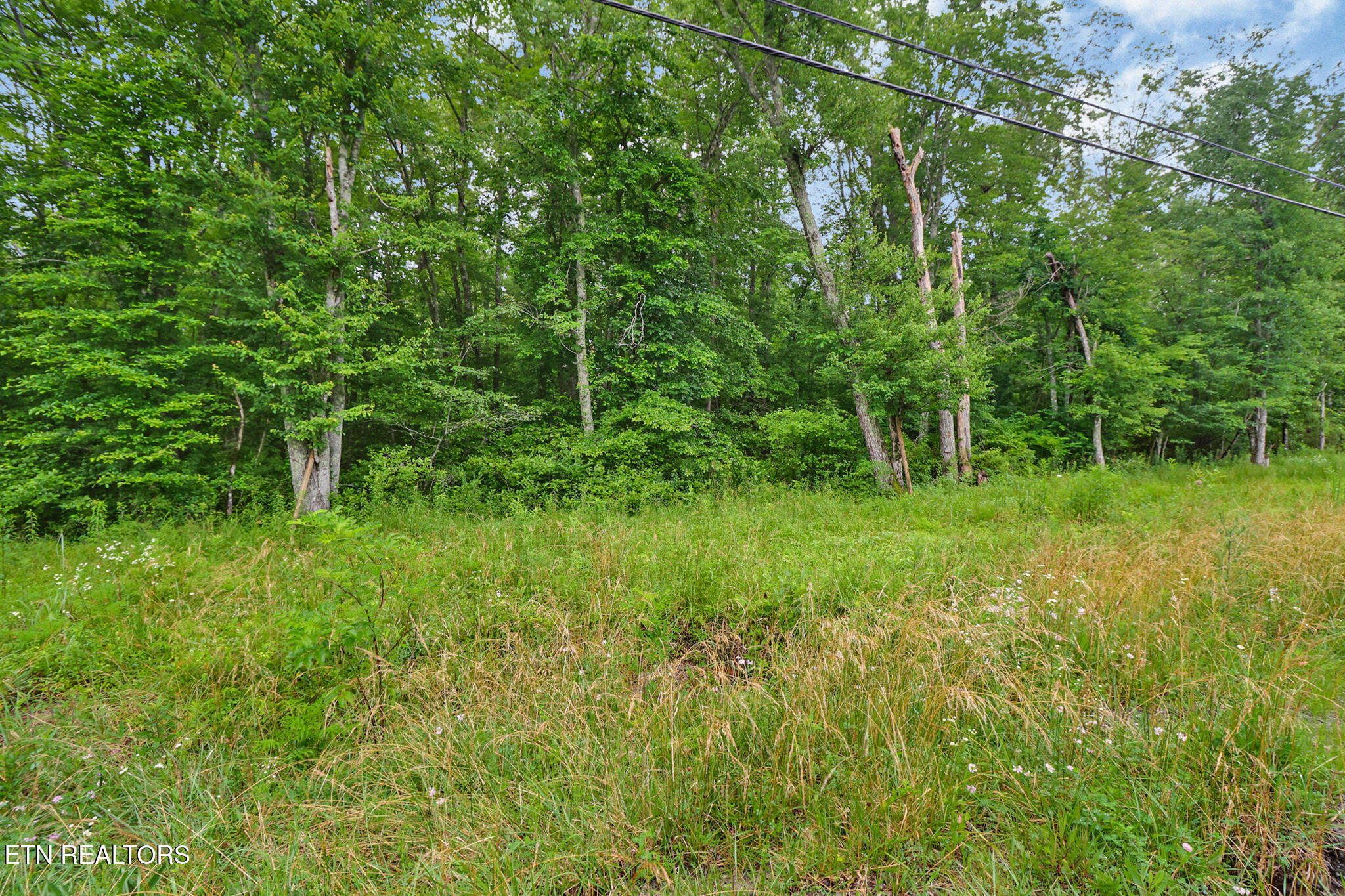 7114 Big Horn Drive Crossville TN 38572