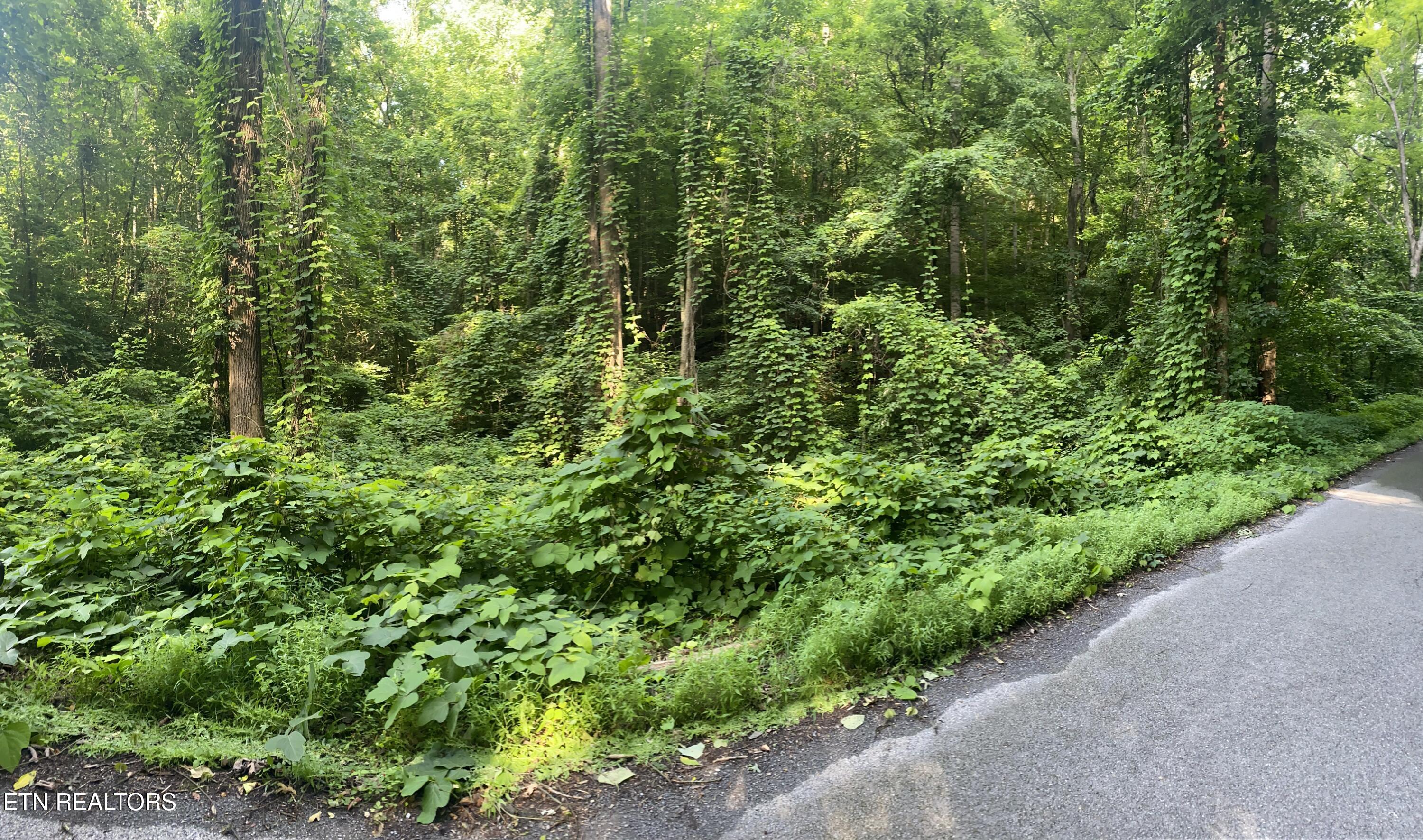 Lower Reinhart Road Dandridge TN 37725
