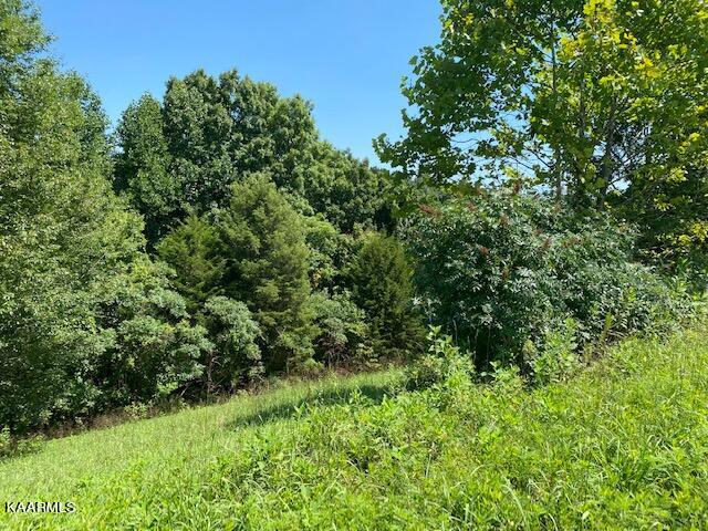 Lot 255 Marble Point Way New Tazewell TN 37825