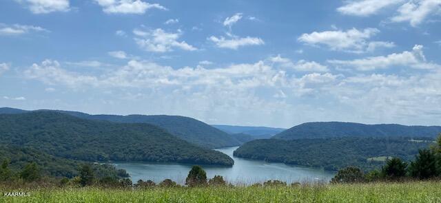 Lot 255 Marble Point Way New Tazewell TN 37825