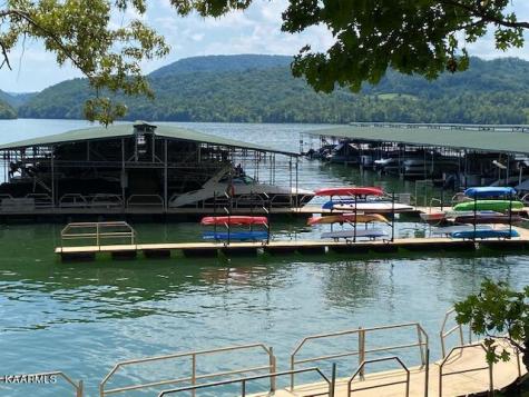 Lot 255 Marble Point Way New Tazewell TN 37825