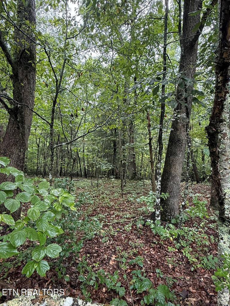 3038 Oklahoma Drive Crossville TN 38572