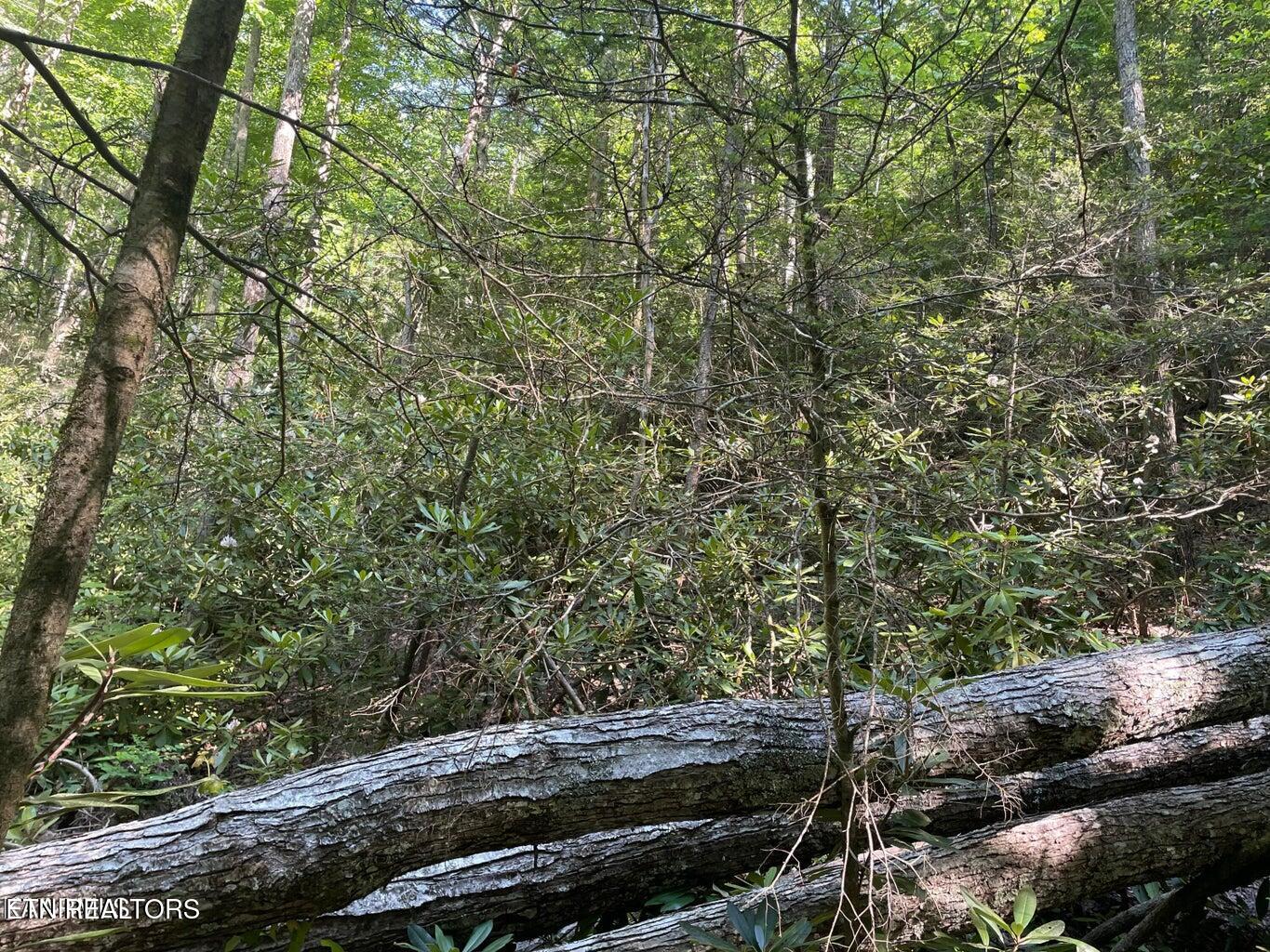 Lot 6 Sycamore Street Sevierville TN 37876