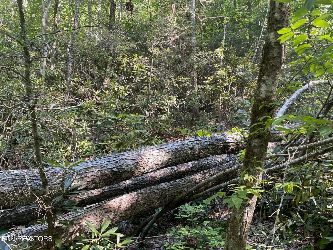 Lot 6 Sycamore Street Sevierville TN 37876