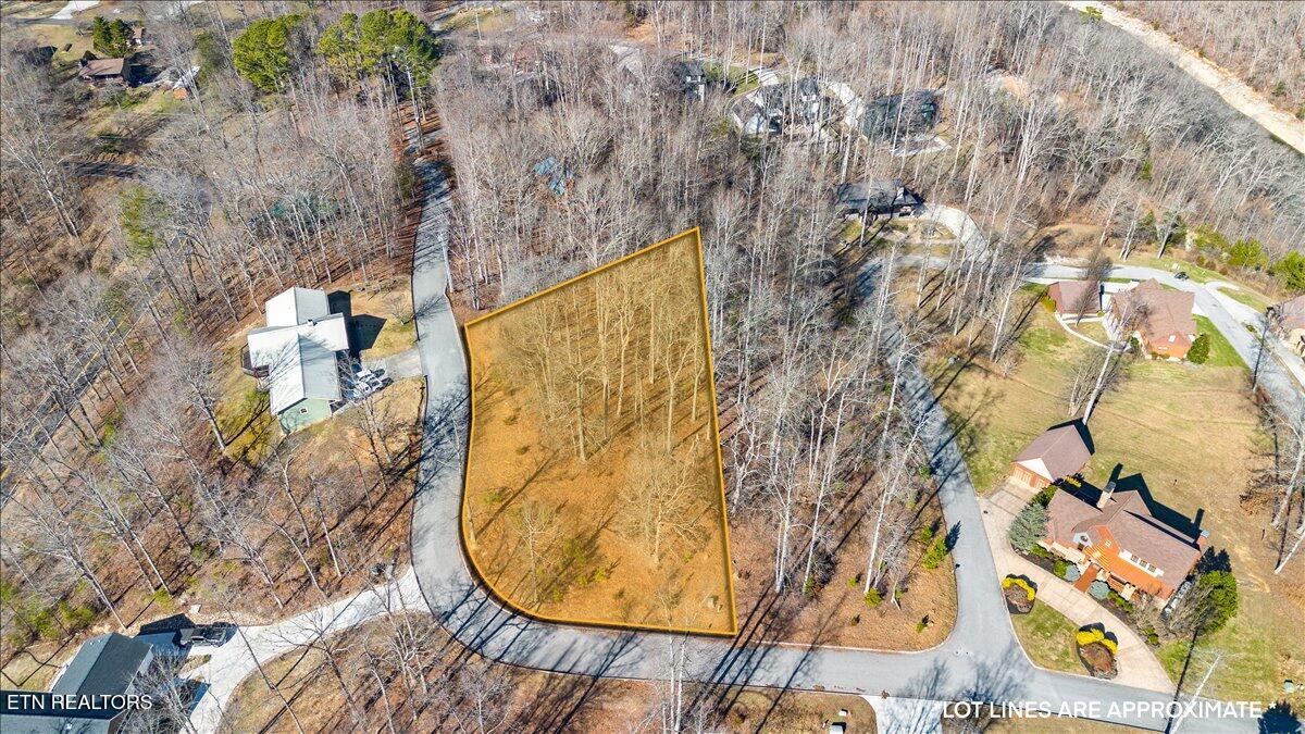 Foxwood Drive Caryville TN 37714
