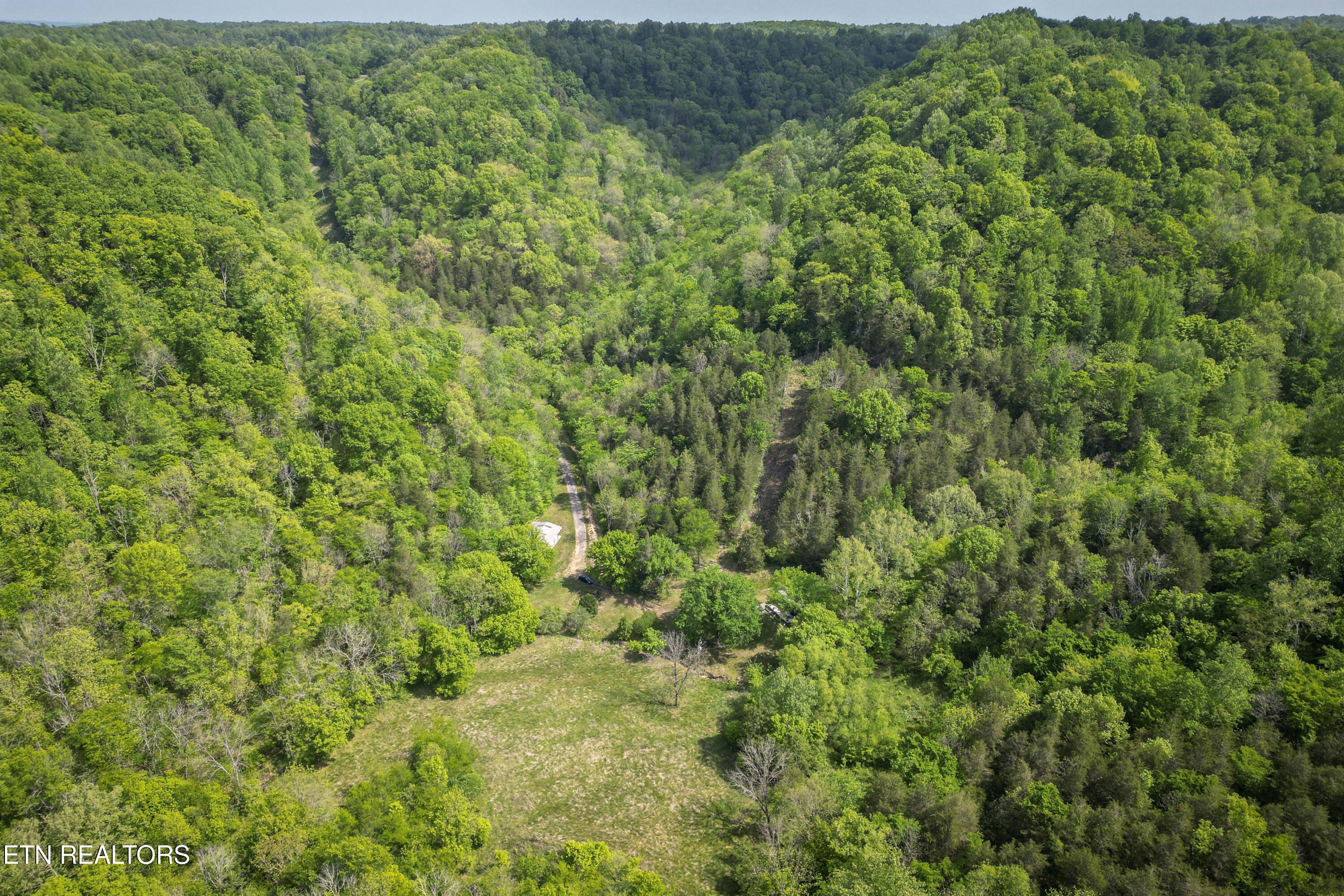 700 Ben Birdwell Lane Bloomington Springs TN 38545