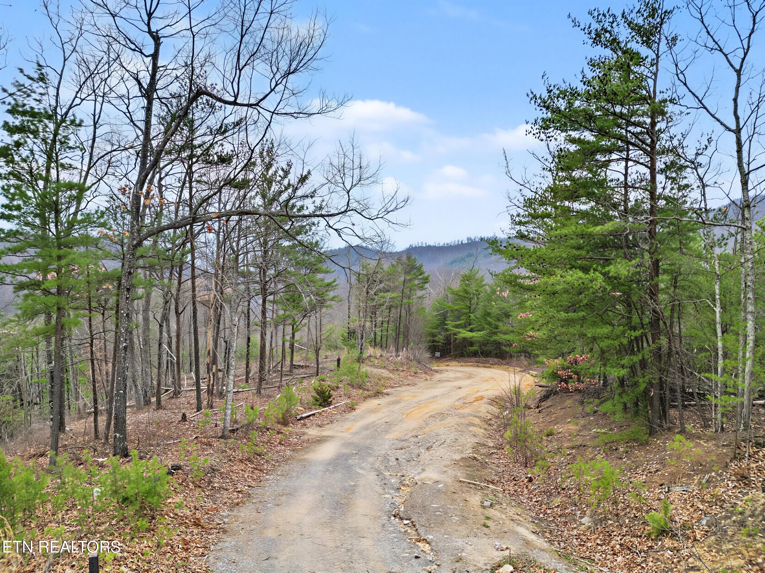 Lot 2 John Sevier Drive Sevierville TN 37862