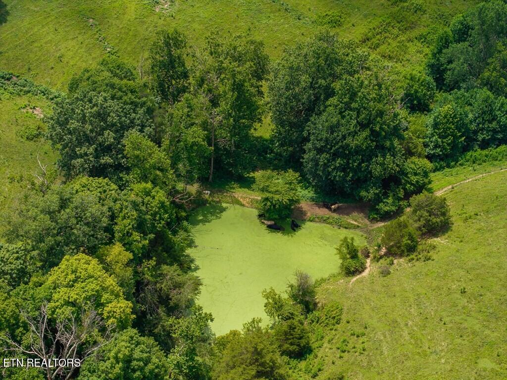 98AC Blackburn Fork Road Cookeville TN 38501