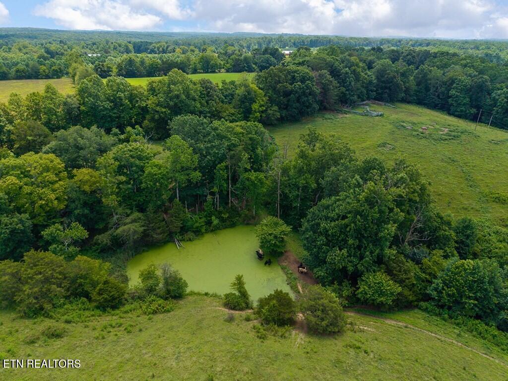 98AC Blackburn Fork Road Cookeville TN 38501