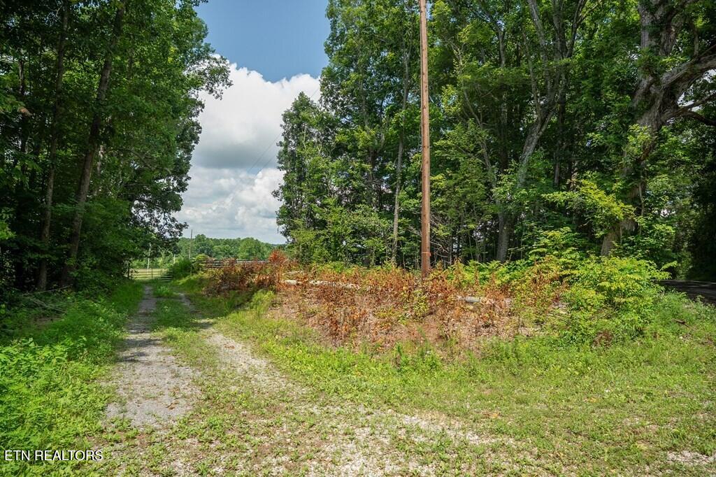 98AC Blackburn Fork Road Cookeville TN 38501