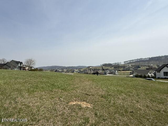 335 Hawks Loudon TN 37774