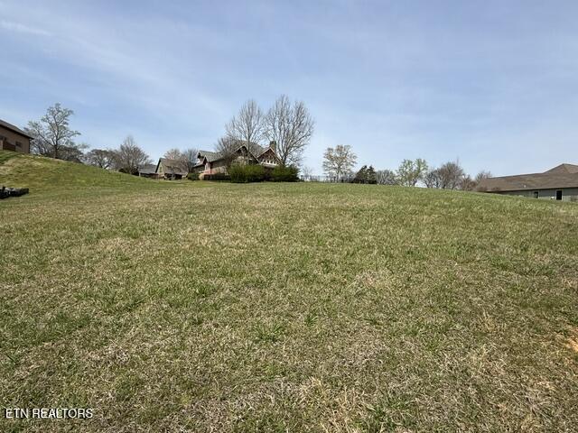 335 Hawks Loudon TN 37774