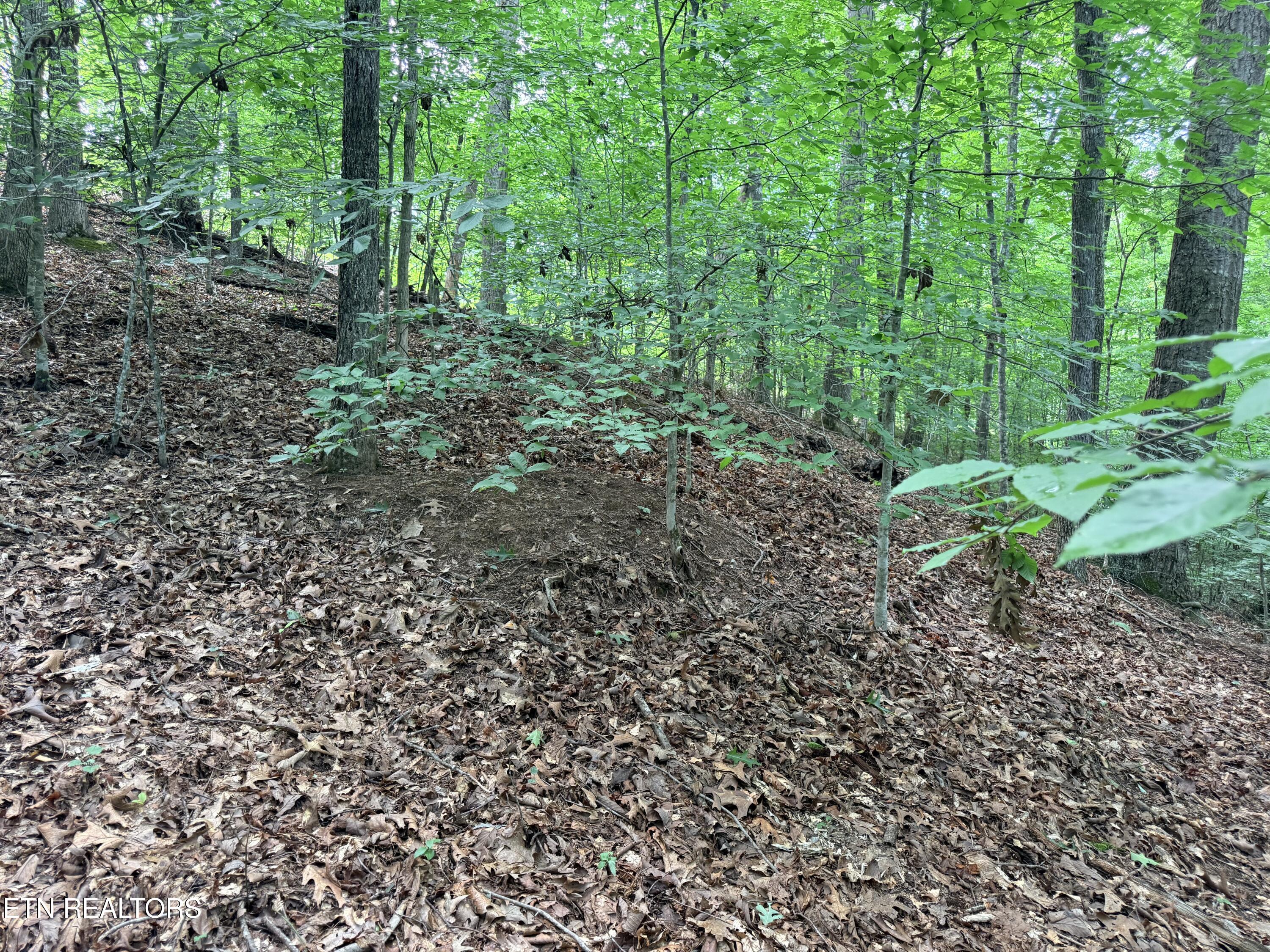 Lot 128 Islandview Point Sharps Chapel TN 37866
