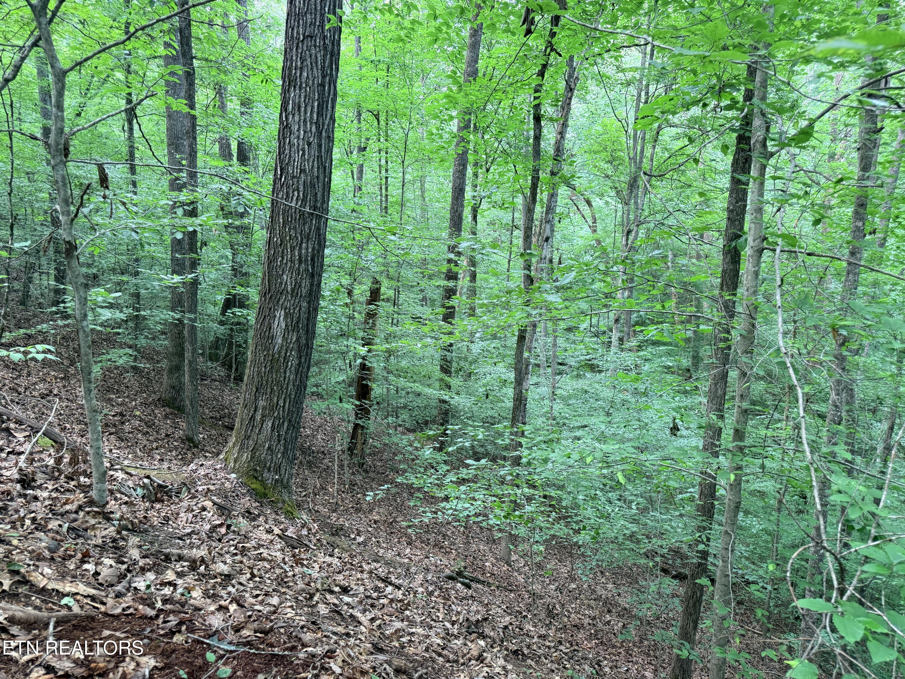Lot 128 Islandview Point Sharps Chapel TN 37866