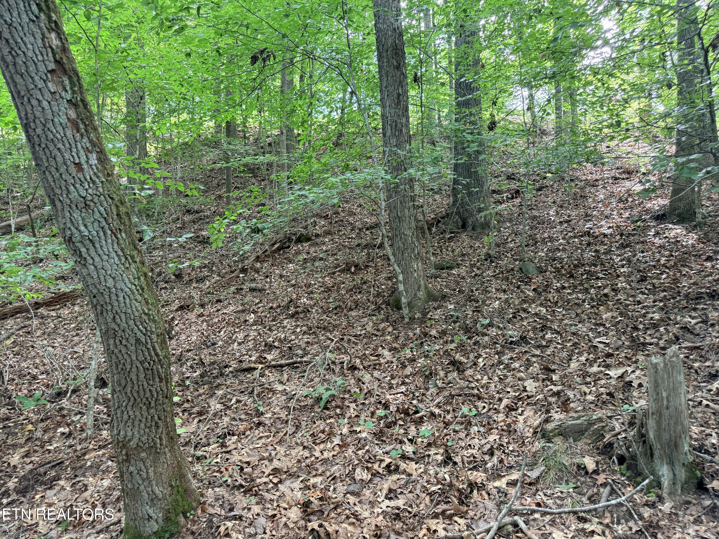 Lot 128 Islandview Point Sharps Chapel TN 37866