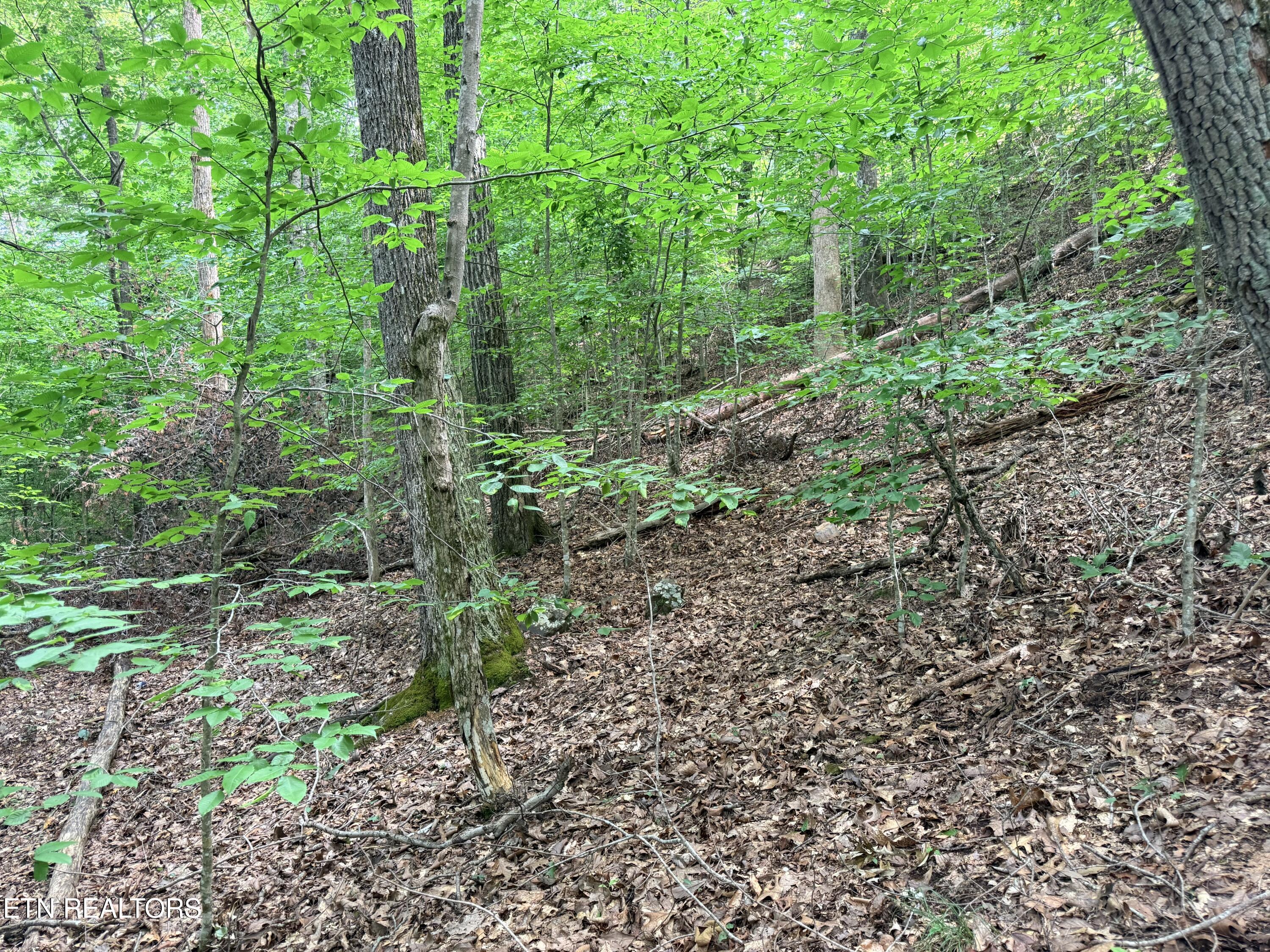 Lot 128 Islandview Point Sharps Chapel TN 37866