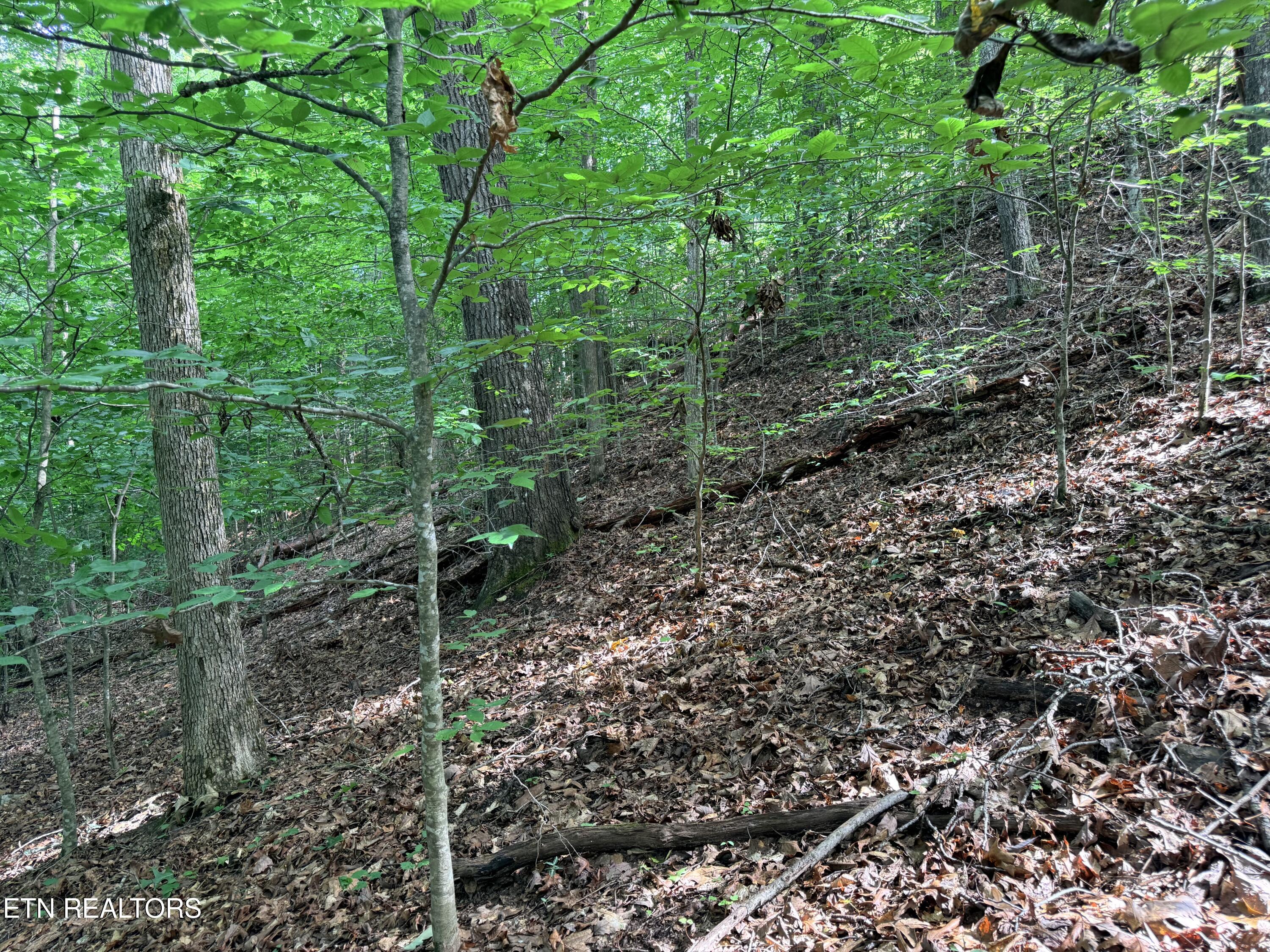Lot 128 Islandview Point Sharps Chapel TN 37866