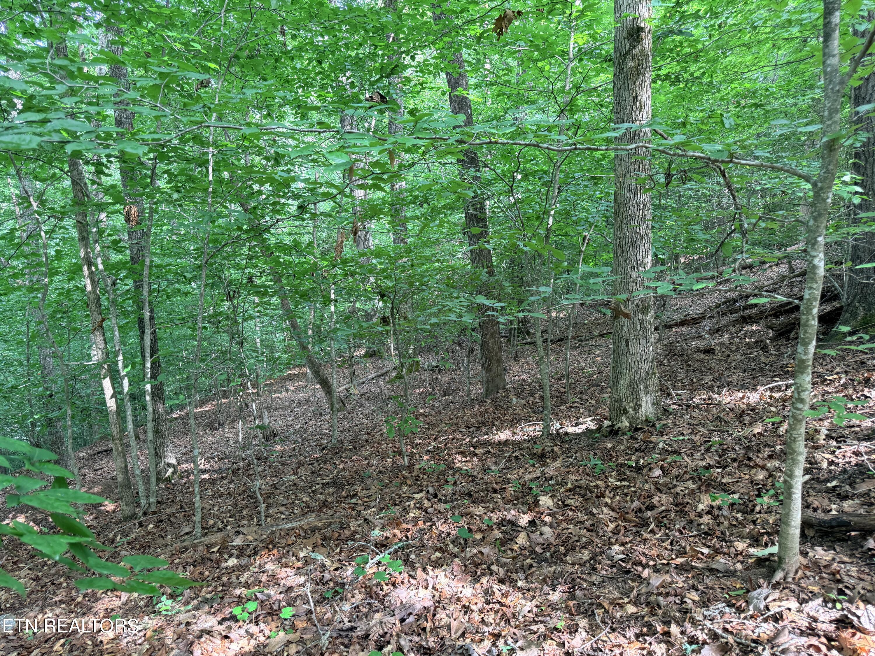 Lot 128 Islandview Point Sharps Chapel TN 37866