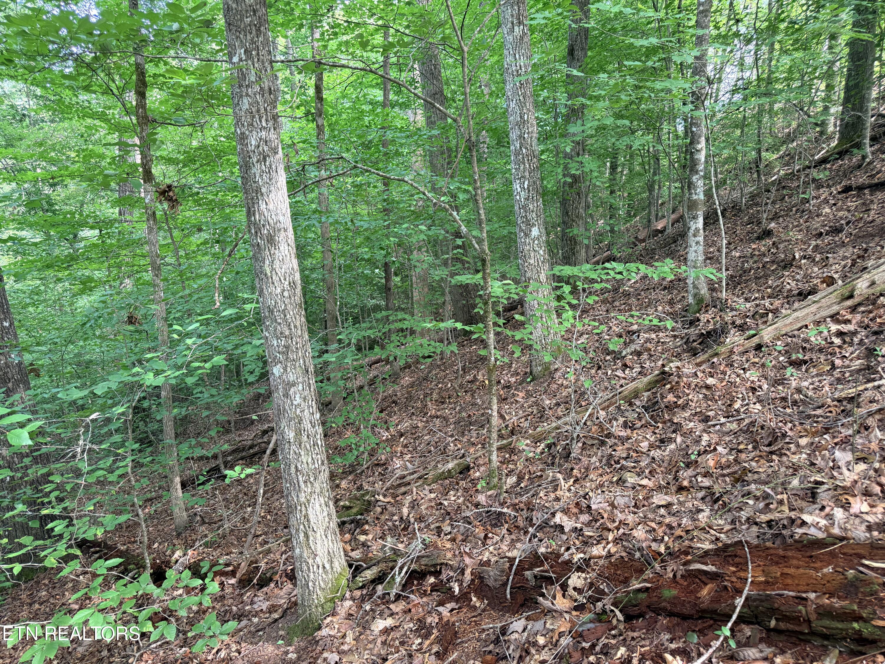 Lot 128 Islandview Point Sharps Chapel TN 37866