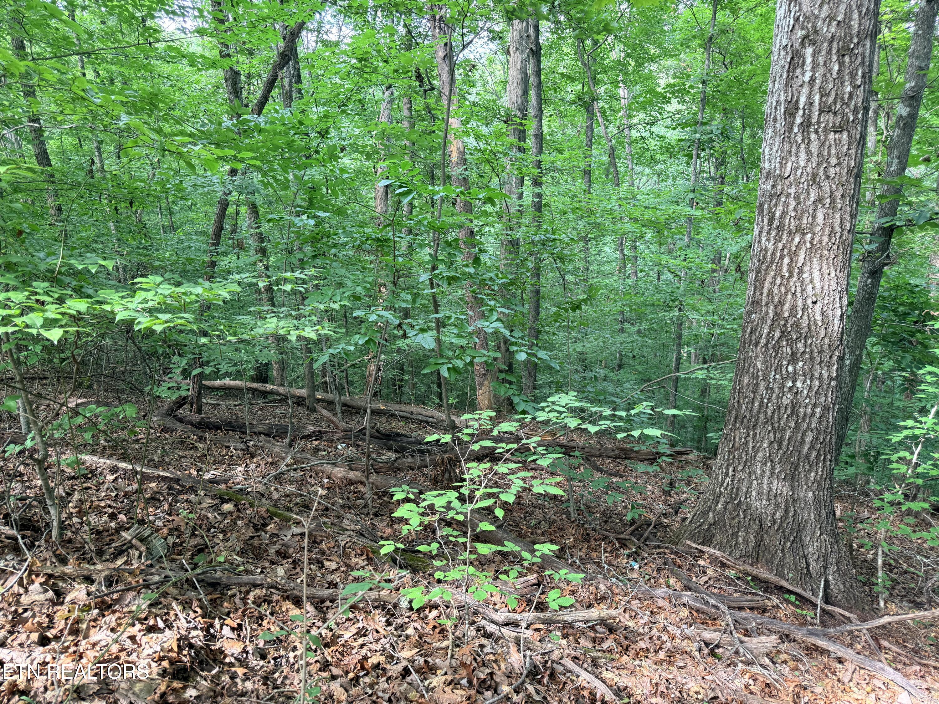 Lot 128 Islandview Point Sharps Chapel TN 37866